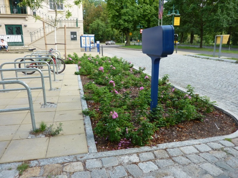 Nach dem Umbau gibt es vor dem Zenner anstatt Stellplätzen nun Pflanzbeete und Fahrradabstellbügel.