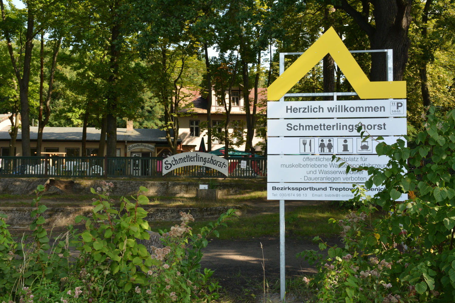 gelbe Welle Schmetterlingshorst