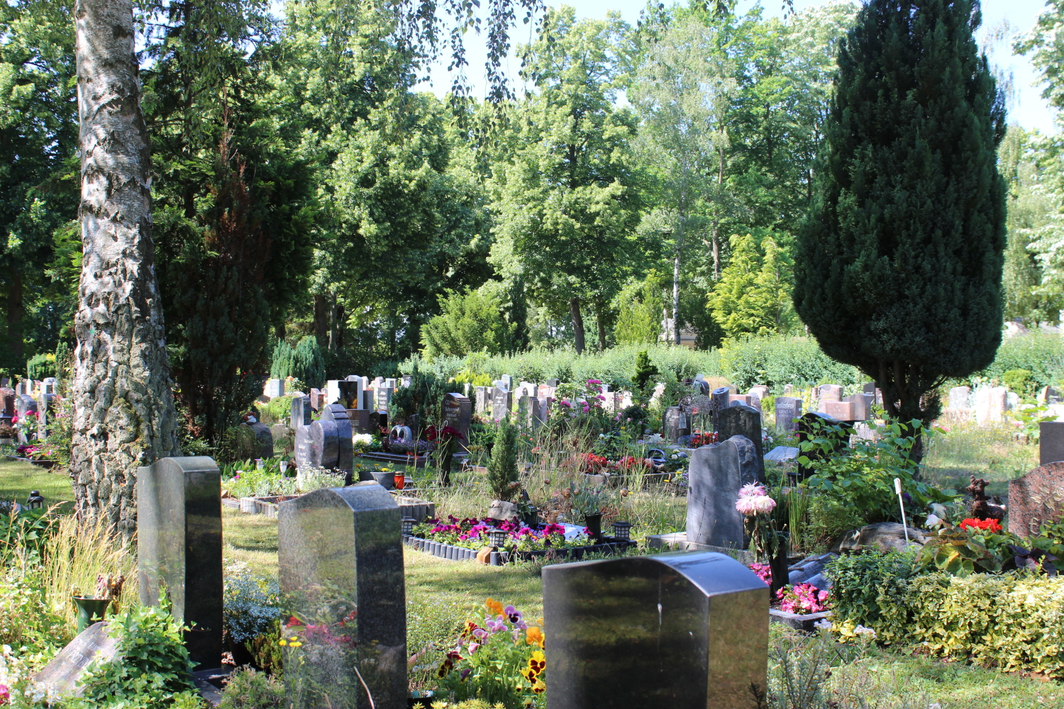 Friedhof Altglienicke Urnenwahlgrabstätten