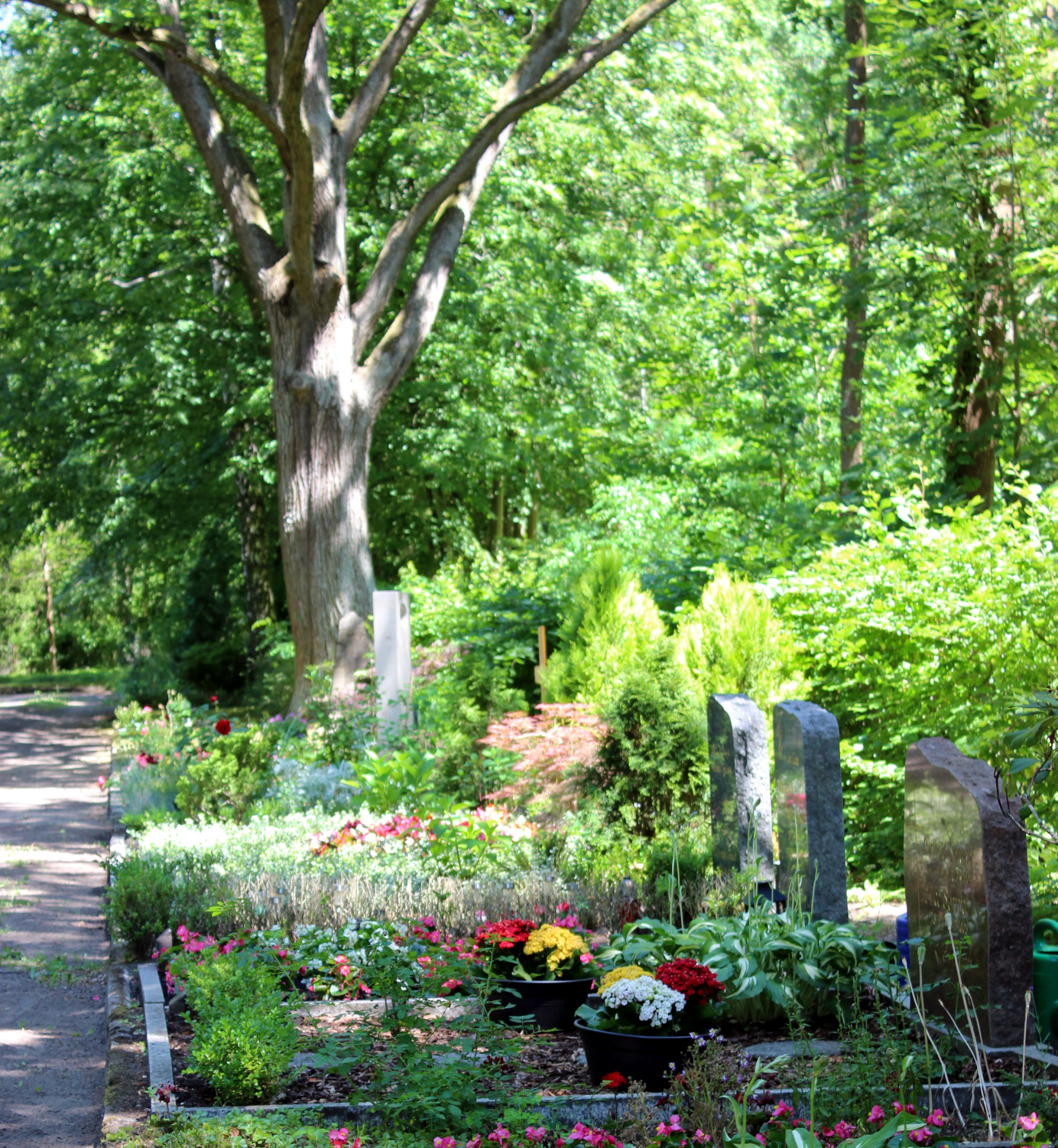Friedhof Grünau, Erdwahlgrabstätten