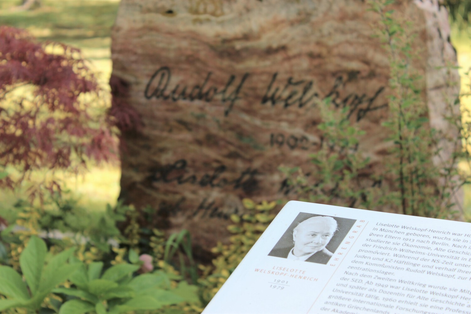 Friedhof Adlershof Ehrengrab Prof. Liselotte Welskopf-Henrich (1901-1979) – Althistorikerin und Schriftstellerin