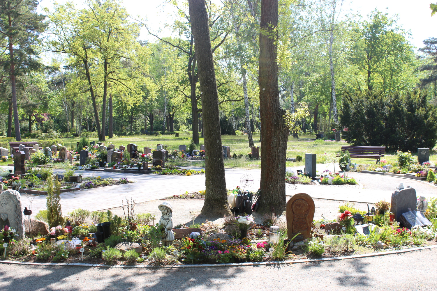 Friedhof Adlershof Urnenwahlgrabstätte