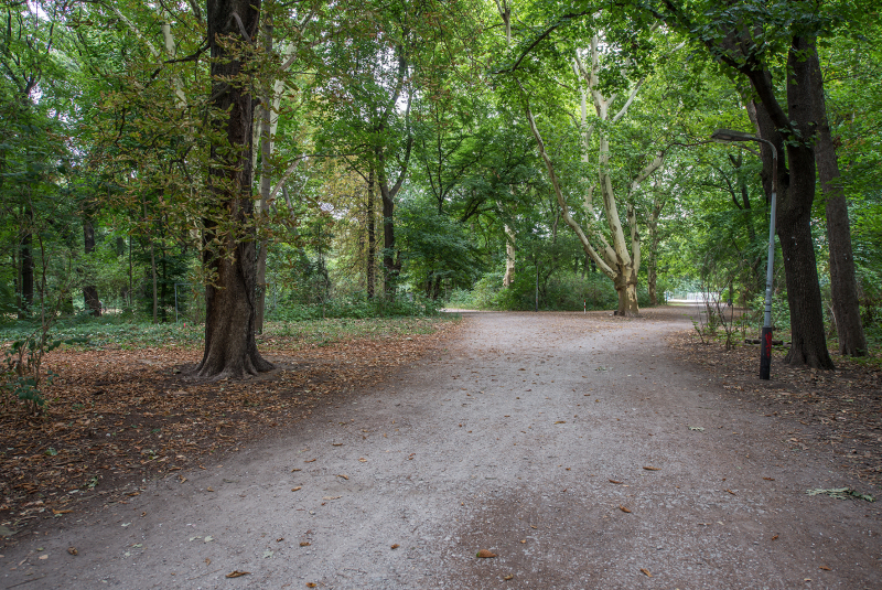 2018/2019, Dokumentation, Herstellung neuer Wege; Bestand