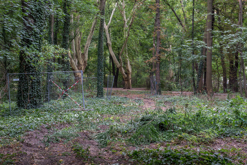 2018/2019, Dokumentation, Wiederherstellung Parkweg