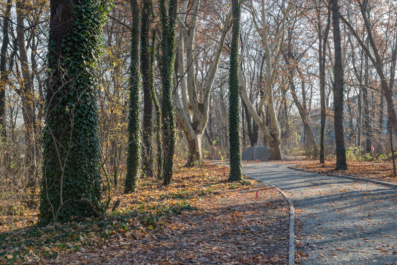 2018/2019, Dokumentation, Wiederherstellung Parkweg; Aushub