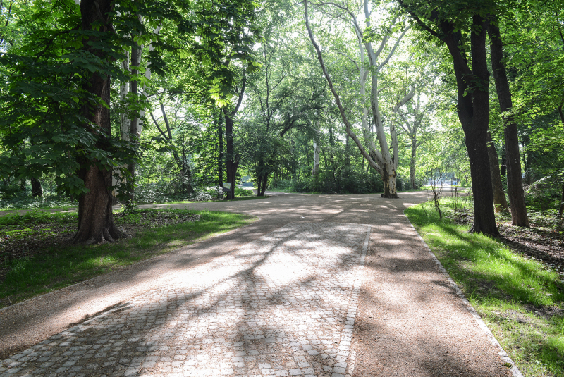 2018/2019, Dokumentation, Herstellung neuer Wege; Deckschicht