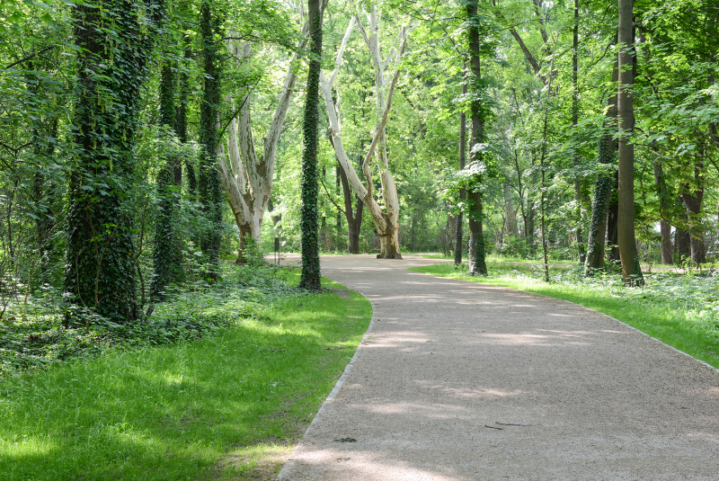 2018/2019, Dokumentation, Wiederherstellung Parkweg; Deckschicht