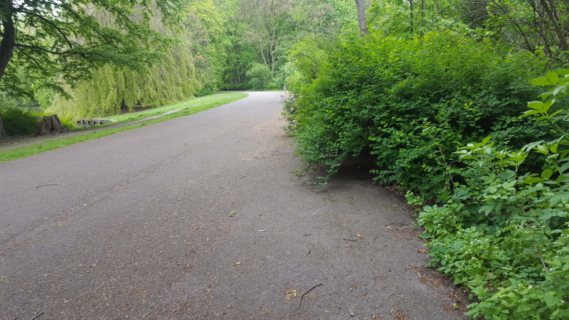 Treptower Park, zugewachsene Wegeabschnitte aus Asphalt