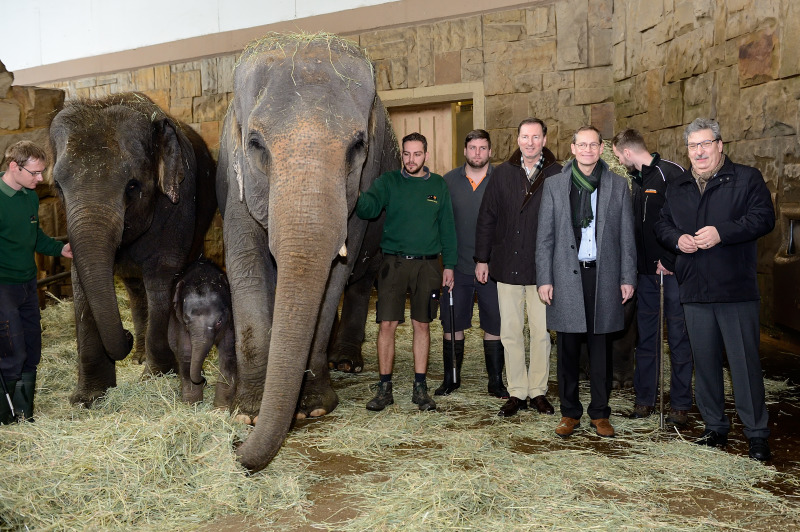 Michael Müller und Ralf Wieland im Elefantenhaus des Tierparks Berlin