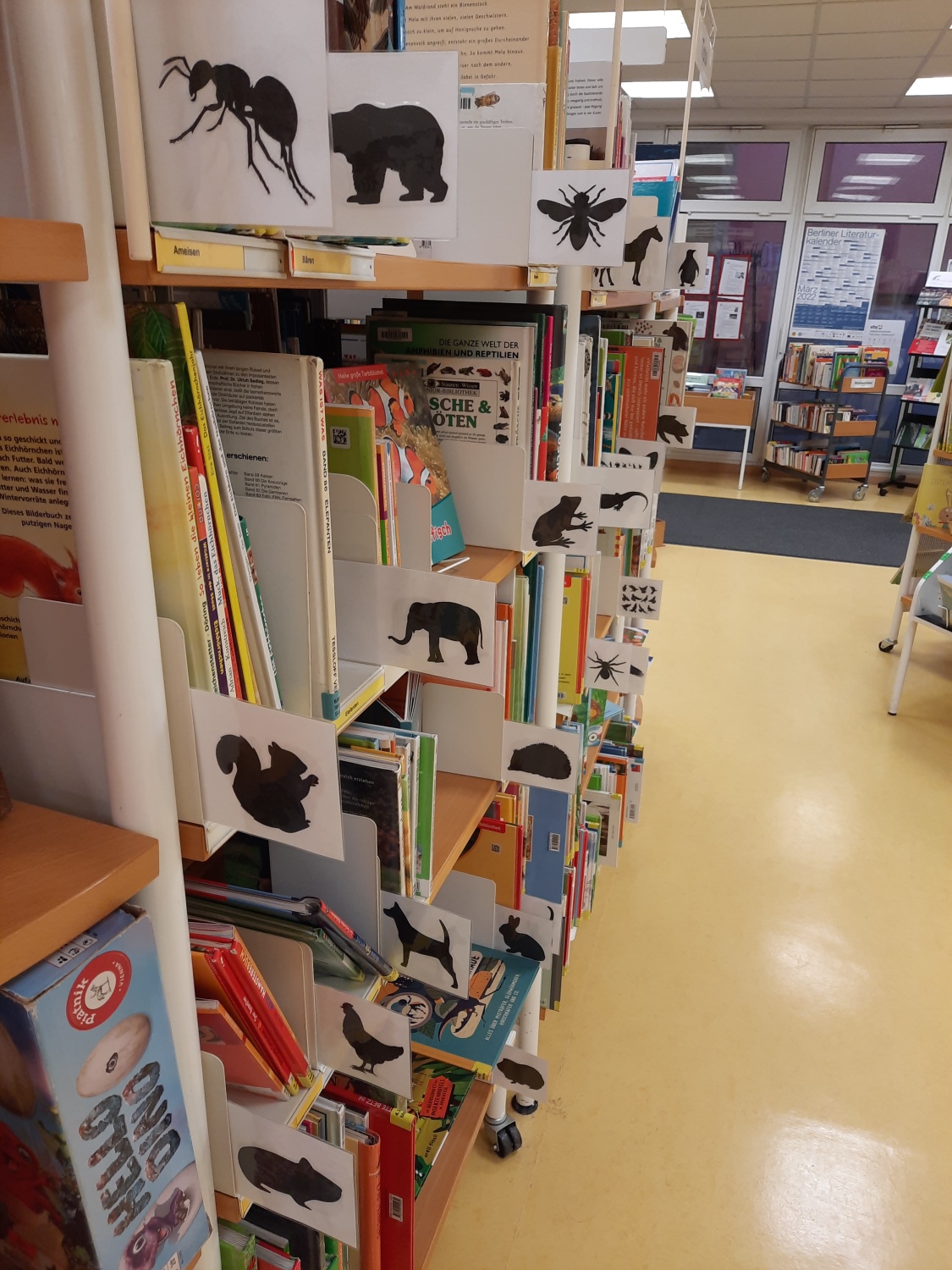 Regal mit Tierbüchern für Kinder, sortiert nach Tierart. Bilder der Tiere erleichtern das Finden.