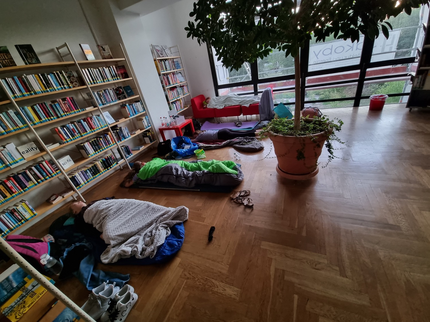Jugendliche liegen in Schlafsäcken vor Bücherregalen