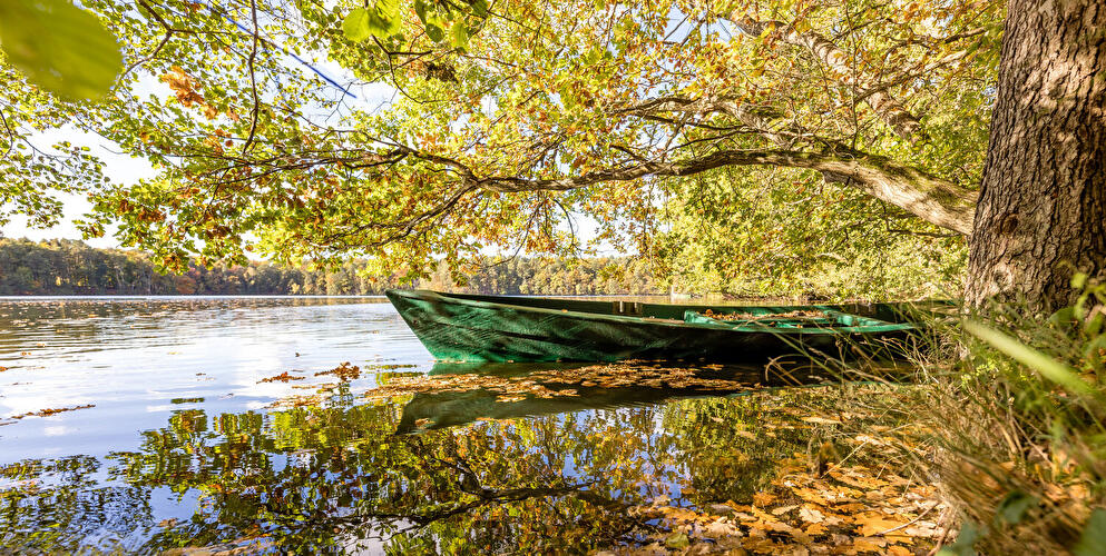 Boot im Nationalpark Schlaubetal am Ufer des Wirchensees