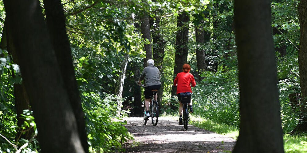 Radfahrende auf dem Havel-Radweg