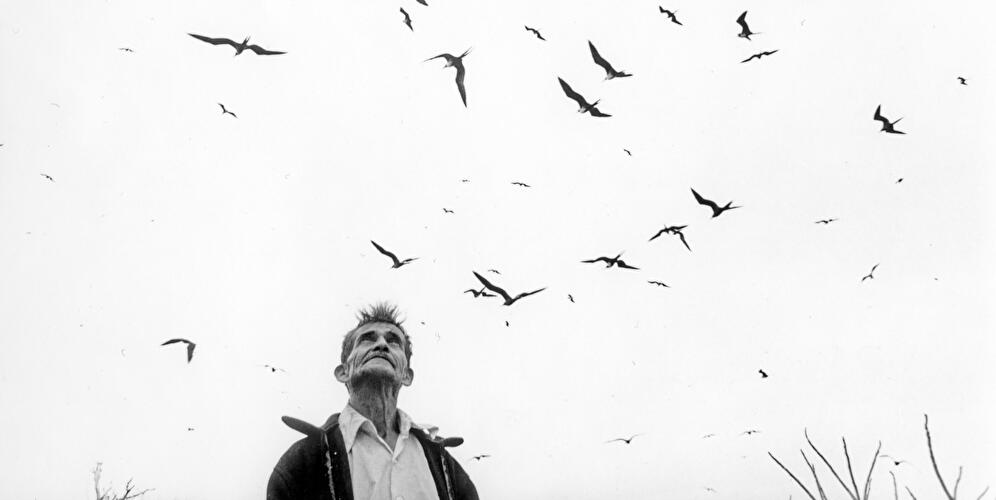 Graciela Iturbide: Eyes to Fly With