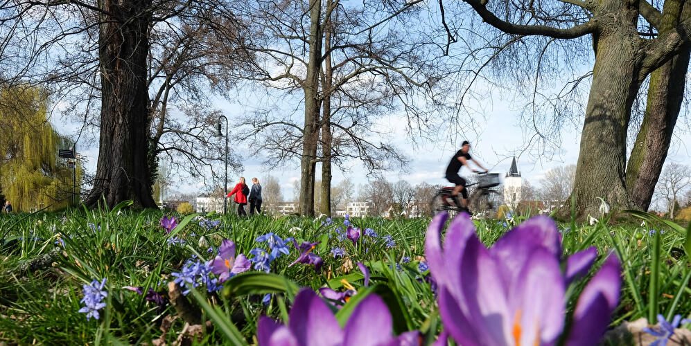 Spaziergänger im Treptower Park