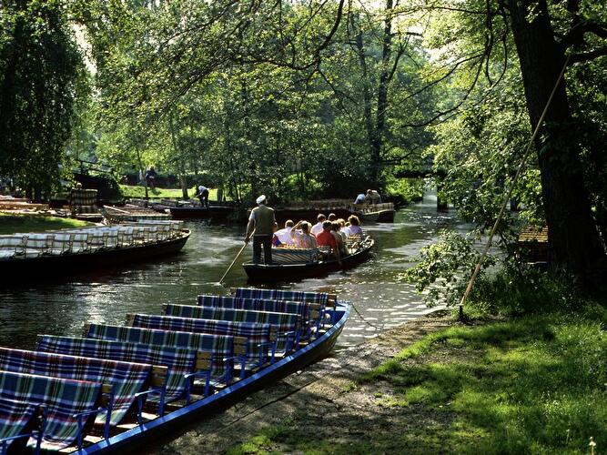 Kahnfahrt im Spreewald, Lübbenau