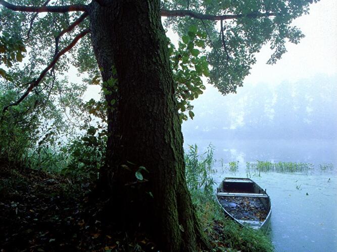 Naturidylle an der Alten Oder bei Oderberg