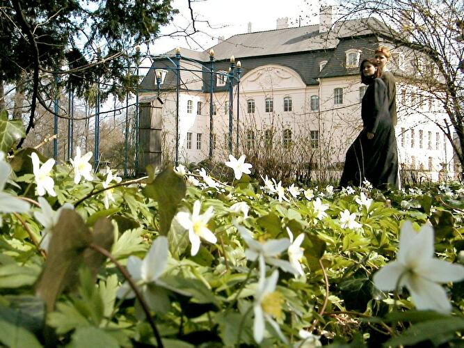 Frühling im Park Branitz
