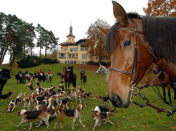 Internationale Hubertusjagd in Storkow