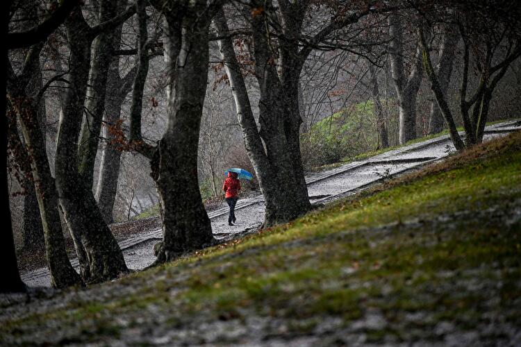 A woman walking in Volkspark Wilmersdorf