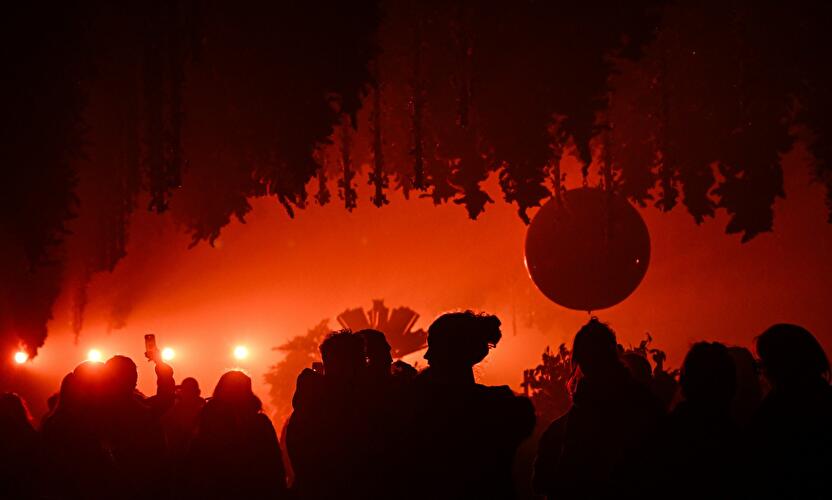 Dark Matter: Forest Seasons (1)