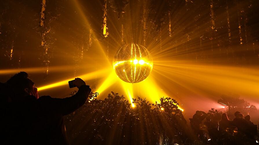 Dark Matter: Forest Seasons (6)