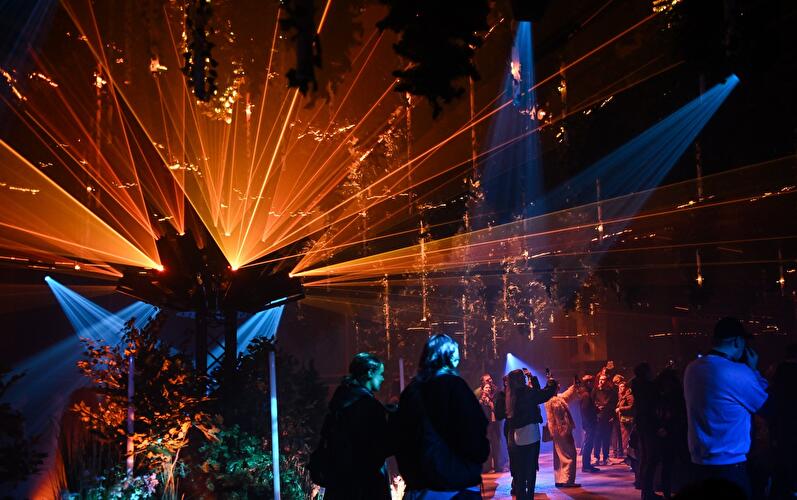 Dark Matter: Forest Seasons (7)