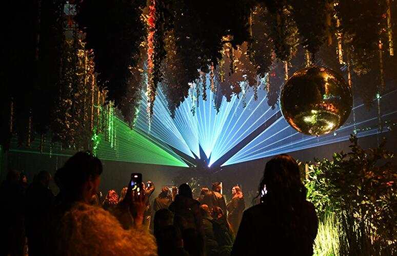 Dark Matter: Forest Seasons (4)