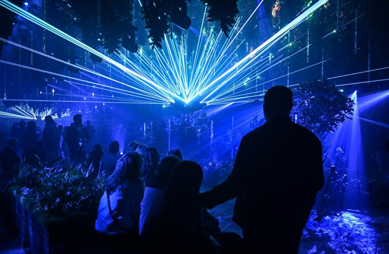 Dark Matter: Forest Seasons (2)