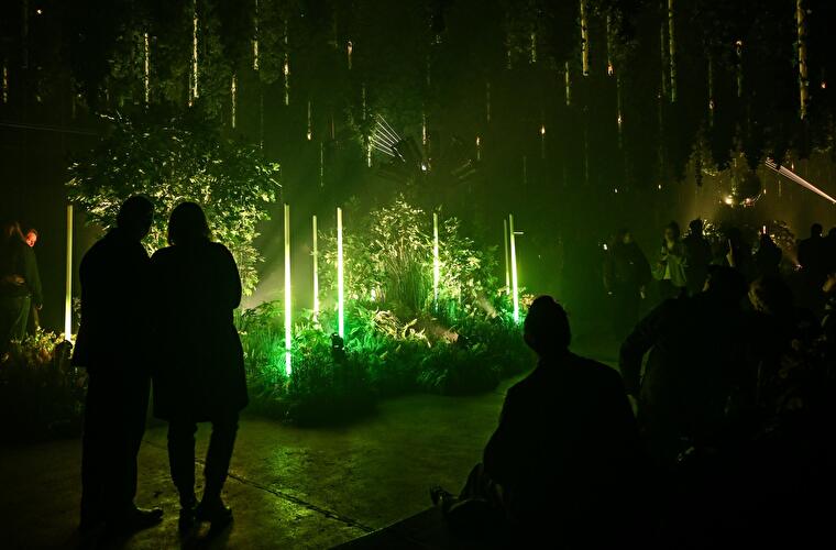 Dark Matter: Forest Seasons (5)