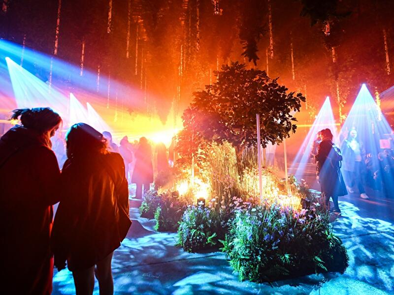 Dark Matter: Forest Seasons (3)