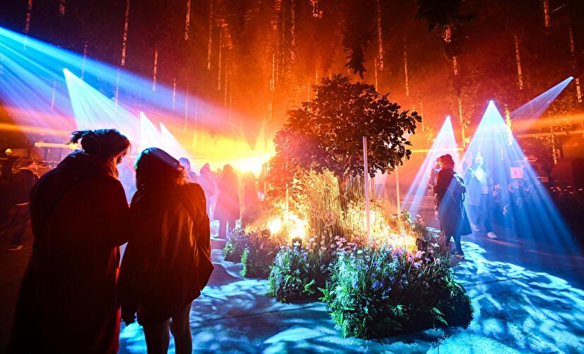 Dark Matter: Forest Seasons (3)