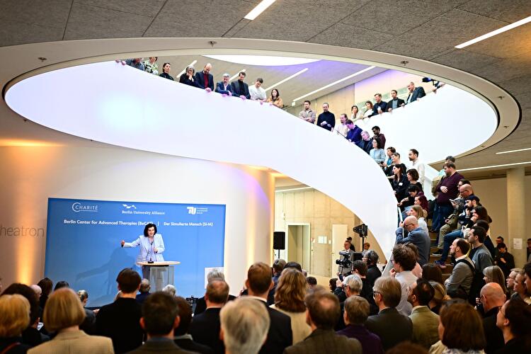 Forschungszentren Charité und TU Berlin