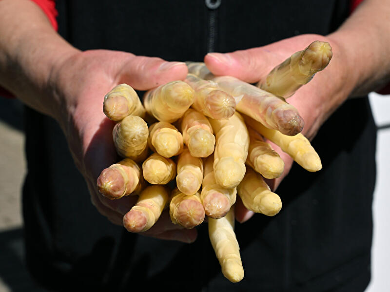 Eine handvoll Spargel