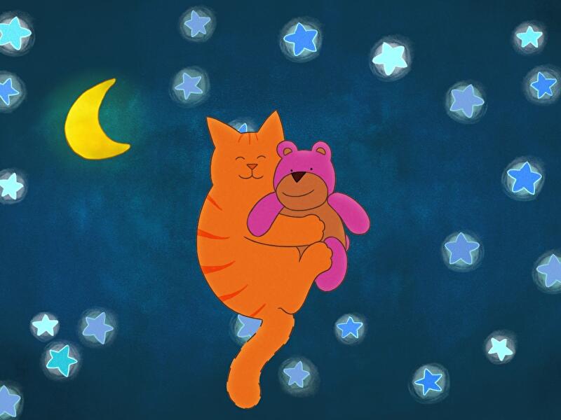 Tommy Tom - Der verschwundene Teddybär