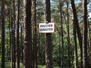 Sommerwetter erhöht Waldbrandrisiko