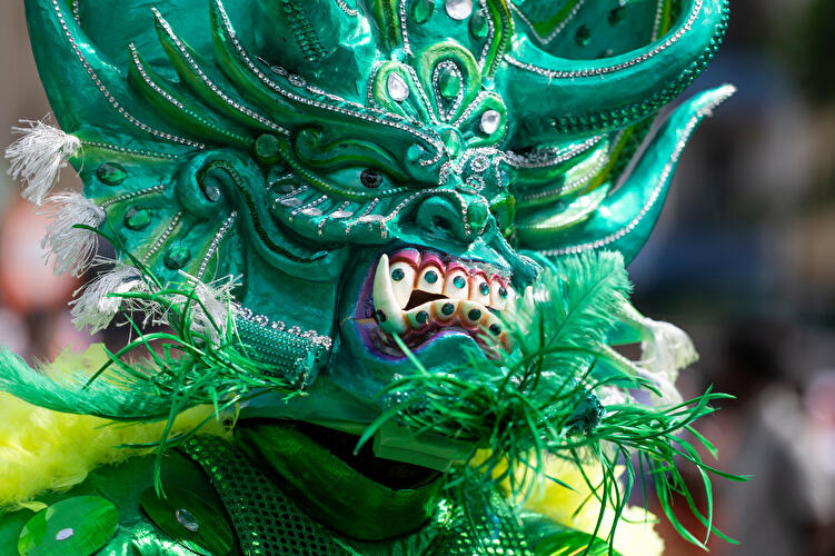 Karneval der Kulturen 2026 (3)