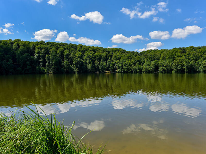 Treppelsee Naturpark Schlaubetal