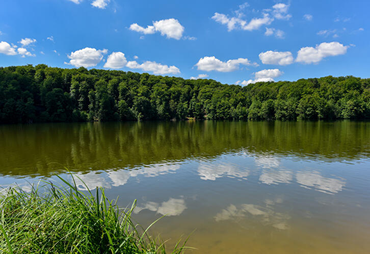 Treppelsee Naturpark Schlaubetal