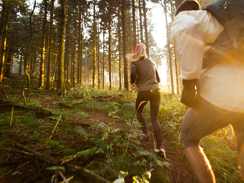 Laufende im Wald