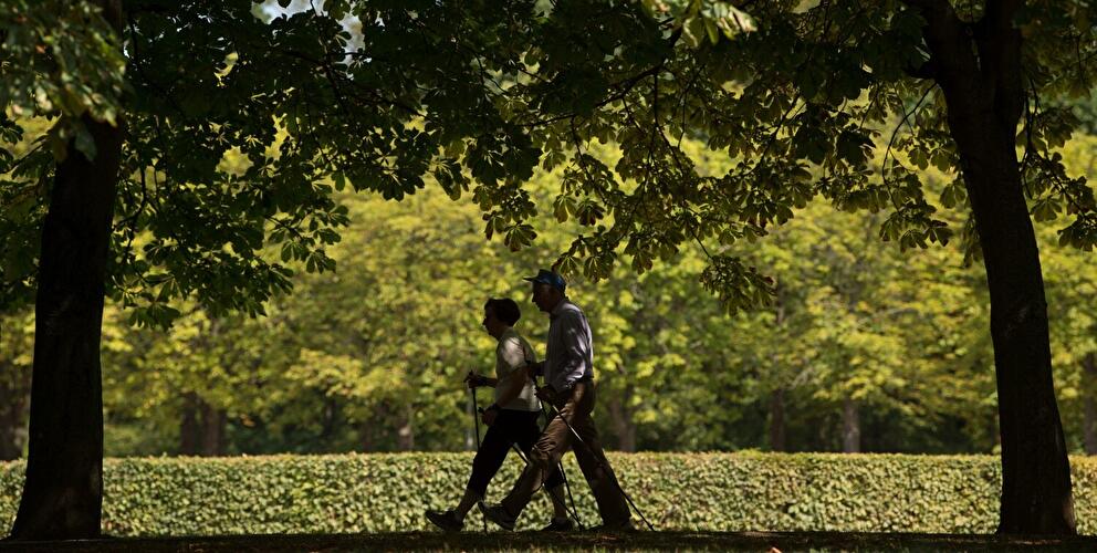Wanderer mit Nordic-Walking-Stöcken