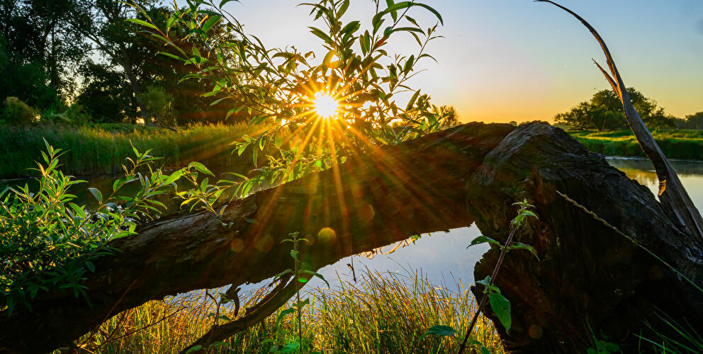 Sonnenaufgang am See