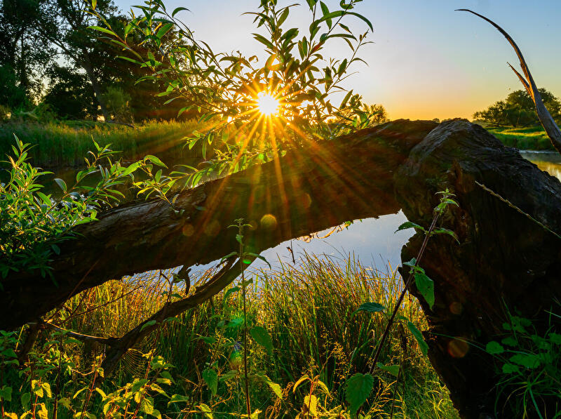 Sonnenaufgang am Fluss Oder
