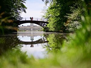 ベルリンの公園で枝が落下する危険性が増加中