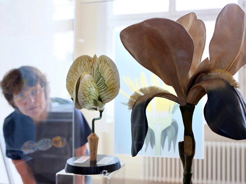 Modellausstellung im Botanischen Garten
