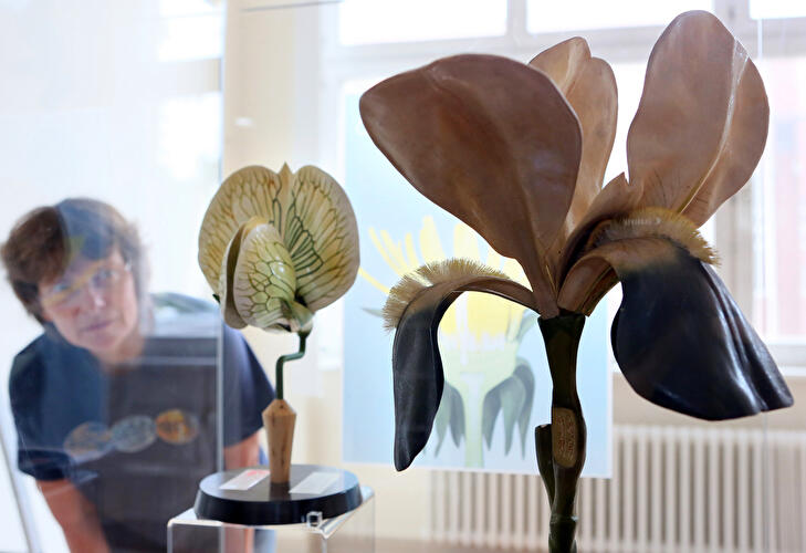 Model Exhibition at the Botanical Garden