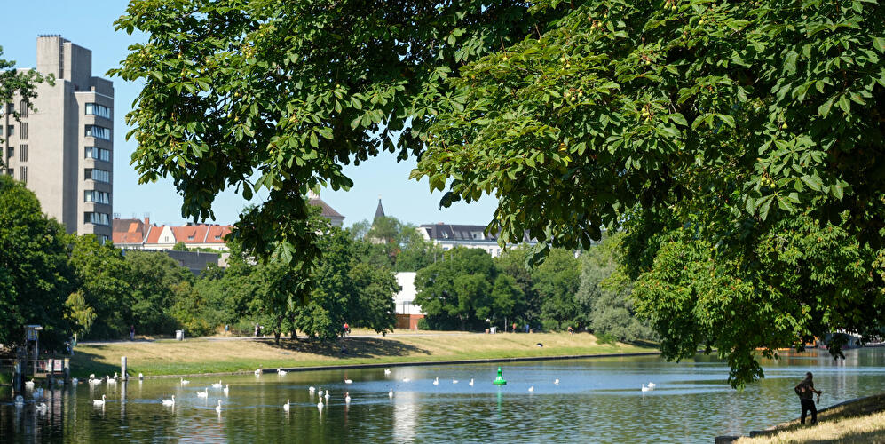 Urbanhafen