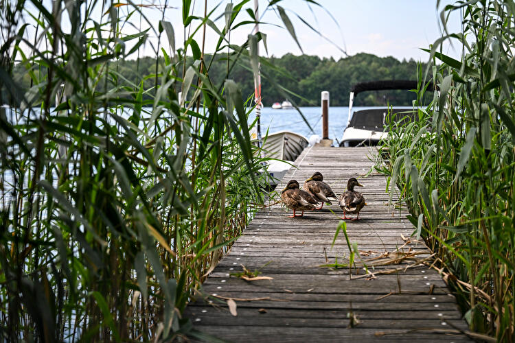 Pier on the Havel River near Konradshöhe