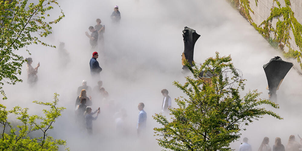 Besucher:innen bewegen sich durch dichten künstlichen Nebel im Skulpturengarten der Neuen Nationalgalerie, umgeben von Bäumen und dunklen Baumstamm-Skulpturen; im Hintergrund eine efeubewachsene Museumsfassade.