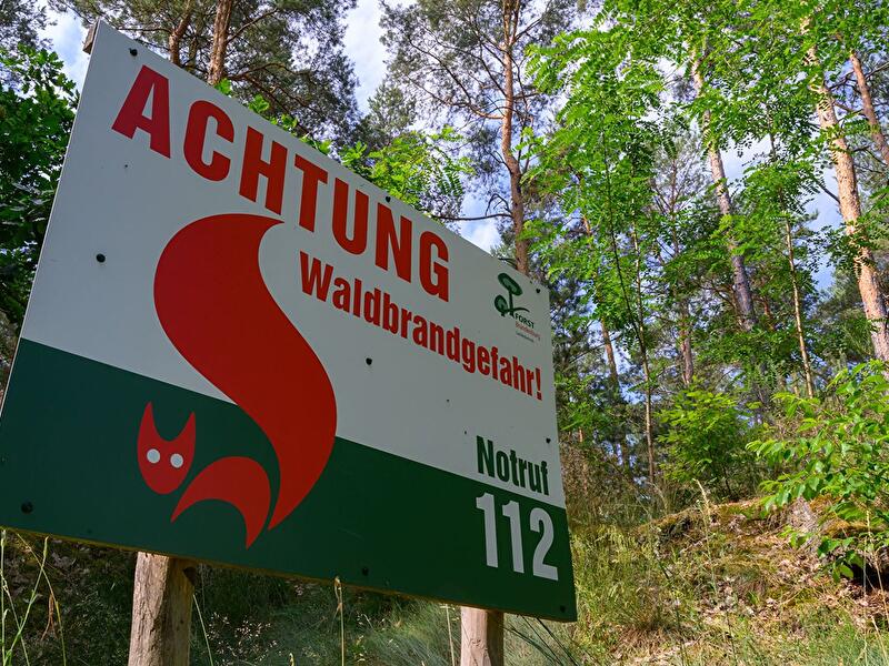 Hitze in Deutschland - Waldbrandgefahr in Brandenburg